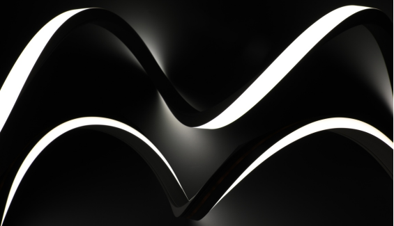 LED NEON LIGHT